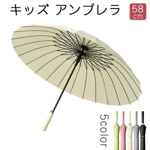  OXt@Co[ Vv LbYP wP ǂP S S ˑт lC WvP P 58cm P XN[ n