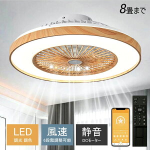 Px T[L[^[ Cz g[ ʒ 12 8 6 V[OCg  F LED V[Ot@