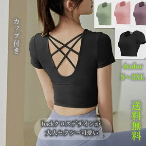 Jbvt  ZNV[ w l NX obN 悪 KEFA X|[c g[jO tBbglX  gbvX