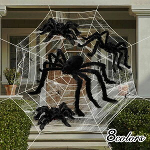  } p[eB[ Cxg HALLOWEEN ubN XpC_[EFu w偂̑   ΂ z[ N w  ObY