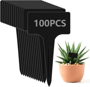 5{UP !z|x A^O | l[v[g 100 T^x } vX`bNx A^O Ax |