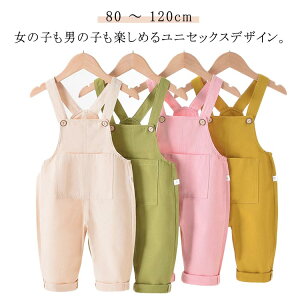 Vv I[o[I[ n t ʉ ʊw xr[ j̎q Tybg  80 LbY Opc {gX ̎q q H