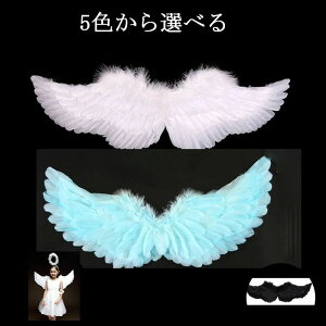 R RXv d  Vg nEB nEB p[eB[ Cxg EBO tFU[ ̗ Vg̉H H RXvp