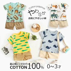 {fB[I[ {fB[ Ԃ  xr[ v[g oYj 80TCY V Y{ ZbgAbv ĕ j̎q