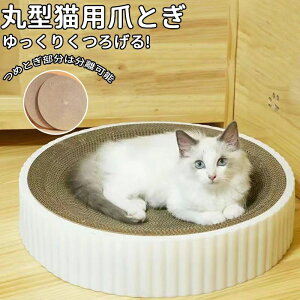 Xg Lxbh L RpX ߂Ƃ 芷\ KK XNb`[ _{[ L܌ ܌ ܂Ƃ