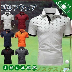 |Vc Y TVc  rWlX v[g ̓ _炩 JWA StVc  