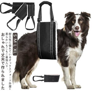 n p  オ n[lX VjA 둫 ^ ⏕ s⏕ V  ȒPE  n[lX