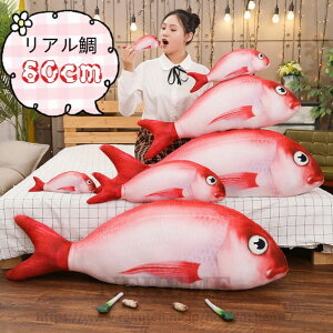 NX}Xv[g A G CeA 80cm    