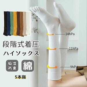 n X|[c hL d˗ ₦Ƃ g  H~  t Y fB[X C nC\bNX VFCv\bNX 5{w