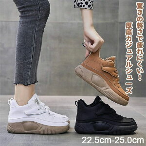 ~ h y L ۉ h r r lԍHw 4cm JWAV[Y fB[X Xj[J[ }WbNe[v