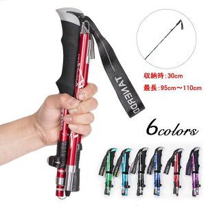  ŏ30cm y250g [ܕt AEghApi oRp yʃA~ XgbN XebL RpNg oRpi oR y
