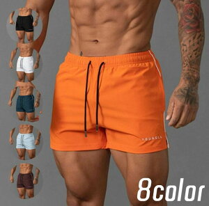 X|[cE WK[pc AEghA g[jOEFA EH[LO W[Wpc n jOpc O Y