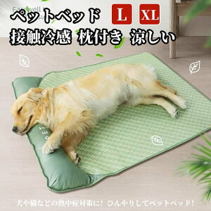 Lp Ђ}bg ybgpi N[}bg ^ ^ V VjA   ڐG⊴ ybgxbg ėp xbh