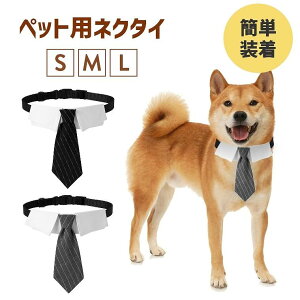 SNSf L ybg ybg Ԃ RXv L plN^C  tH[} RXv Lp ^LV[h p