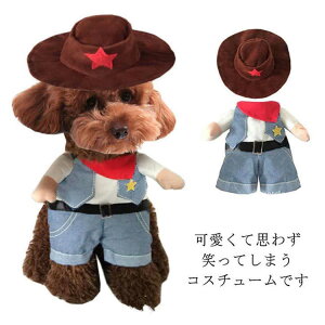 oGeB  ߑ ObY ^ ϐg ybg 2s  JE{[C nbgt 2_Zbg EGX^  RXv 