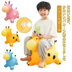 a qp oX{[ o[V p oX{[ V pߋ xr[  n oX{[ 