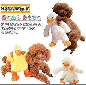 p I` ʂ Aq Ђ̂ʂ _bN   Ĵጢ̃I` ^ 