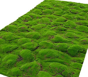 山丘草モス 人工苔 苔マット フェイクグリーン 人工植物 造花 芝生マット 人工苔マット 人工芝 シート 人工苔 芝生マット 人工観