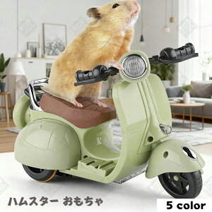 nX^[   doCN 360x] Cg y t I[goĈ ȃybgp ETM bg 