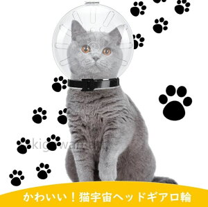 rߖh~ ݂h~ LFwbhMA  L ^ y ⏕p ܐ؂ ʋCUP V^ }Y L 