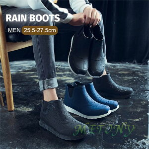  CV[Y ʊw ʋ u[c C JWA C h AEghA V[gu[c h CV[Y Y