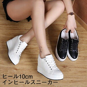 z fB[X 傫TCY TCY C  ҂ݏグ PU S\[ Xb| q[10cm Cq[Xj[J[