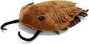 C GYQ  炩 NbV Gǂ A 킢  gCoCg  ʂ Ot