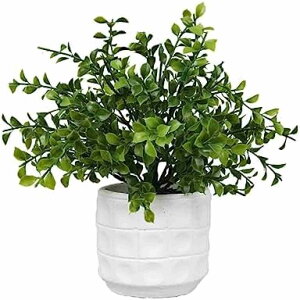 z[ ItBX sv b炸 CeA  A  tFCNϗtA ~j lHϗtA tFCNO[