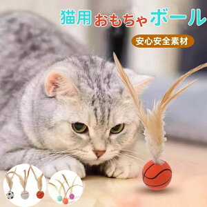  ǐ LptFU[{[ 3Zbg XgX {[ ˂ {[ H LptFU[{[ e̓{[ ߋ  L