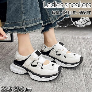 fB[X T_ X|T  T_ Xj[J[ ʋC  ܐی fB[X Xb|  Xj[J[