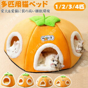 Jo[ ~p NbV ӂӂ ybgxbh Lxbhh[ g 􂦂 Lxbh ܂ h[^ h[ ~ xbh