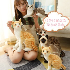 ぬいぐるみ リアル シャムネコ タヌキ猫 茶トラ猫 ペット シャム猫 ねこ 本物 そっくり ネコ 子ども キッズ ギフト クリスマス