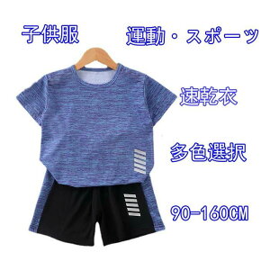 WjA qǂ q ̎q j̎q ^ ZbgAbv Y{ V[gpc tVc  n[tpc ㉺Zbg LbY