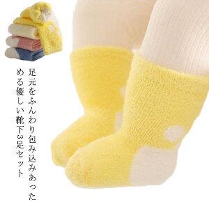 킢 炩  Eɂ AN 0-36 j̎q ̎q q 3Zbg Ԃ \bNX  C