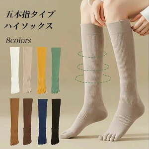 Rbg\ n ȍ z  nC 5{w\bNX  u\bNX ܖ{wnC\bNX hL C fB[X nC\bNX