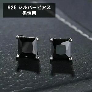 h p[eB[ 񎟉  ؗ ؍ ؍ lp XNGA  Y jp AM[Ή Vo[sAX 