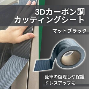 Xe O  }bg J[{ ubN V[g V[ tB veNV ԗp oCN 3D JbeBOV[g  