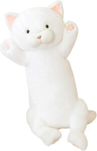 45cm Q C Q YQ n Gǂ ˂ނ˂ NbV    L ʂ lR