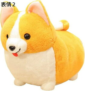 v[ a Jbv Ԃ ӂӂ _炩 NbV n 킢 60cm   ʂ  R[M[