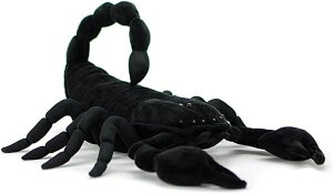 Y ubN n Gǂ ˂ނ˂ NbV   A   剤 ʂ _CIET\