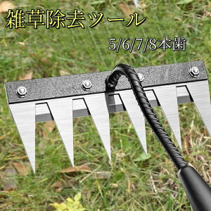 蓹 G΍ G G  XeX K[f[L  XeX| v[  F 背[L