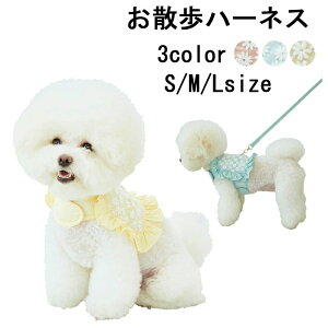 ʋC _炩 ԕ [Xt  UEFA n[lX   xg [v  ybg  L 