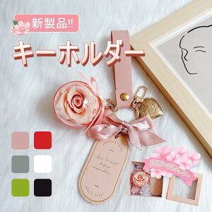 L[z_[ ͂Ȃ  FB ޏ  킢 蕨 o^C LO a lC j zj ̓