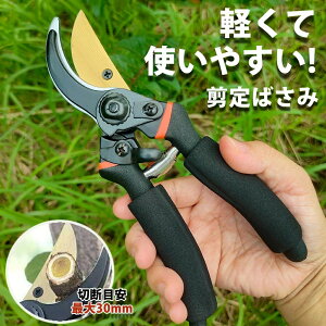 lC ₷TNTN؂ SbNt oT~ SK85 |p͂ p  2iK߉\ ΂ y