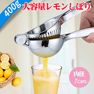 ʏ` 蓮W[T[ nhW[T[ XeXF a7cm t[ci 蓮 nhW[T[ i i