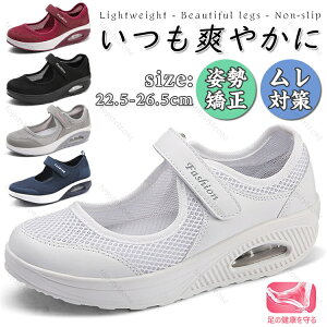  Ռz ȂC y bV NbV ΍ ʋC wlC ƌC  Ōt D É    ɂ