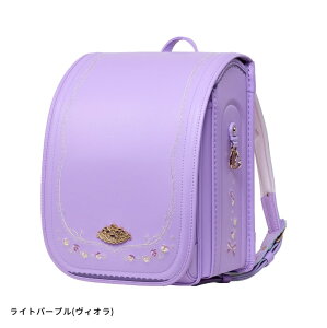  hZ ̎q 2026 GWFE  킢 q 6Nۏ yʃhZ yhZ l ԕ  F XJCu[ tXeB u[  ݃J[ 