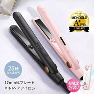＼＼★期間限定価格♪★／／ヘアアイロン ストレート ヘアアイロン 2way ストレートアイロン ミニ カール…