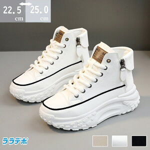 yԌő15%OFFz Xj[J[ fB[X Xj[J[ C EH[LOV[Y ꂢ   ₷ y _bhXj[J[ אg Cq[Xj[J[ H~ ʊw 