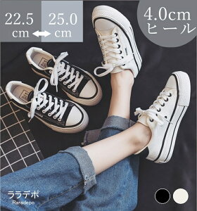 yԌő15%OFFzXj[J[ fB[X C V[Y ʋ ʊw EH[LOV[Y oRC gbLOV[Y oR AEghA Lv ނ lC  LO   X